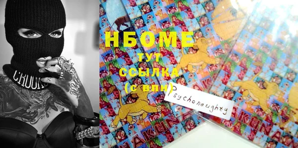 соль ск Богородск