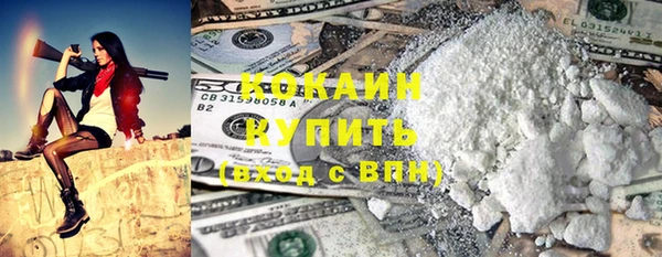 соль ск Богородск