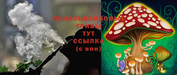 соль ск Богородск