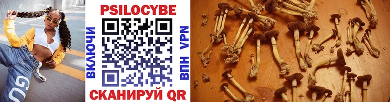 купить закладку  Полтавская  Псилоцибиновые грибы Psilocybe 